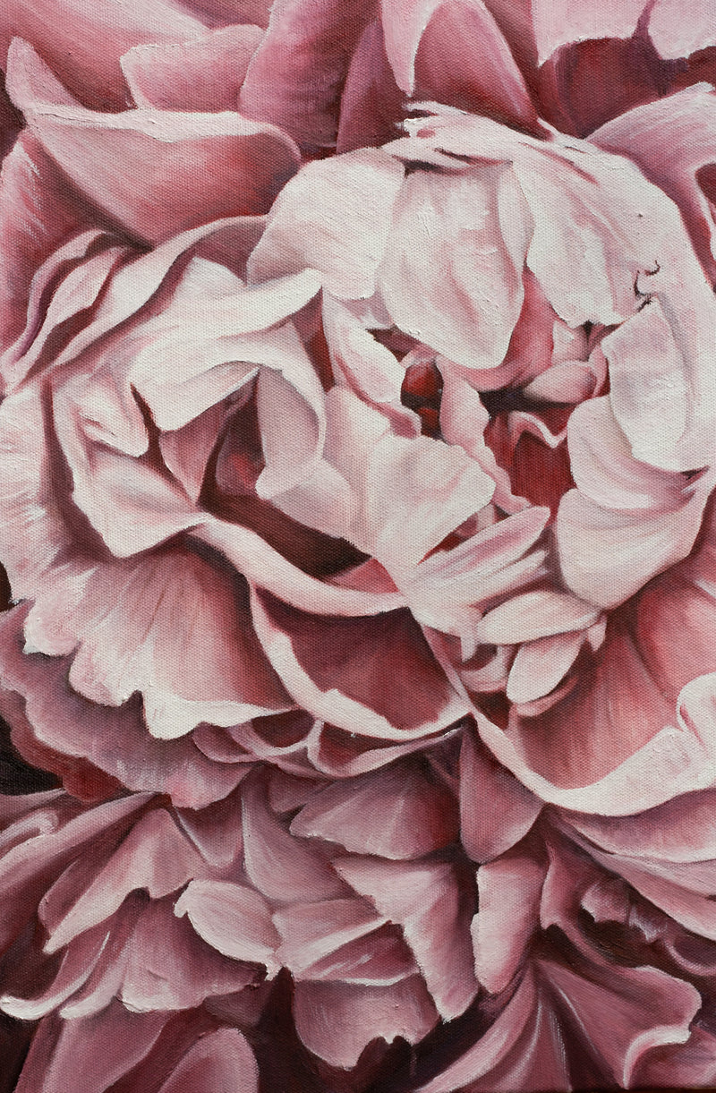 Peony Pink Original